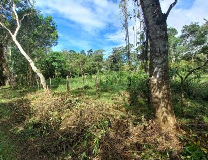 Imagen de bien en venta ubicado en: Chiriquí, Dolega, Potrerillos, Potrerillos Arriba