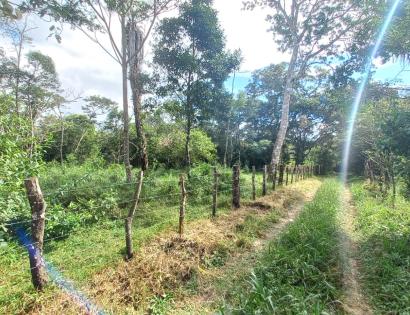 Imagen de bien en venta ubicado en: Chiriquí, Dolega, Potrerillos, Potrerillos Arriba