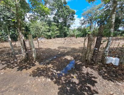 Imagen de bien en venta ubicado en: Darién, Pinogana, Metetí, Santa Rosa, Cerca del puente sobre el Río Portuchada
