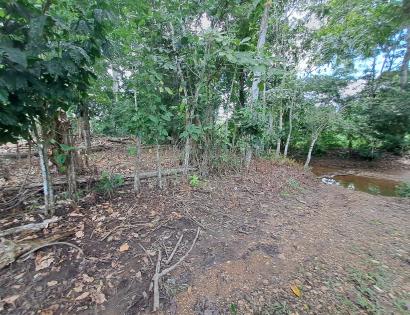 Imagen de bien en venta ubicado en: Darién, Pinogana, Metetí, Santa Rosa, Cerca del puente sobre el Río Portuchada