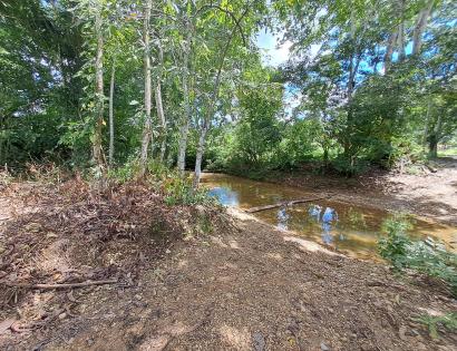 Imagen de bien en venta ubicado en: Darién, Pinogana, Metetí, Santa Rosa, Cerca del puente sobre el Río Portuchada