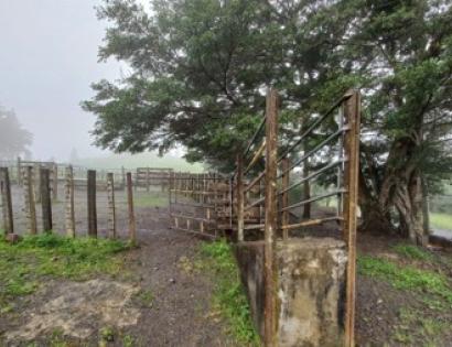 Imagen de bien en venta ubicado en: Chiriquí, Boquete, Boquete, Localidad De La Huaca, carretera que conduce a alto de boquete 