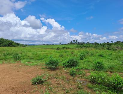 Imagen de bien en venta ubicado en: Darién, Pinogana, Metetí, Catival, Pinogana