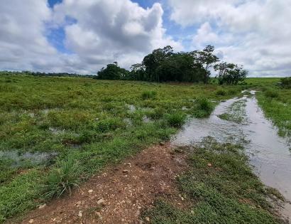Imagen de bien en venta ubicado en: Darién, Pinogana, Metetí, Catival, Pinogana