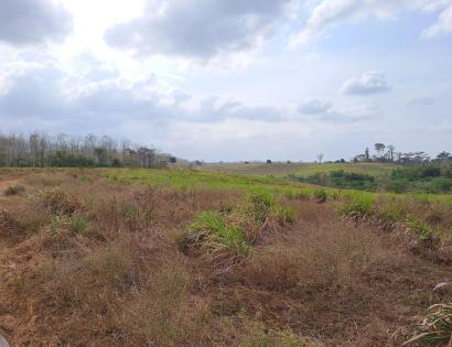 Imagen de bien en venta ubicado en: Darién, Pinogana, Metetí, Catival, Pinogana