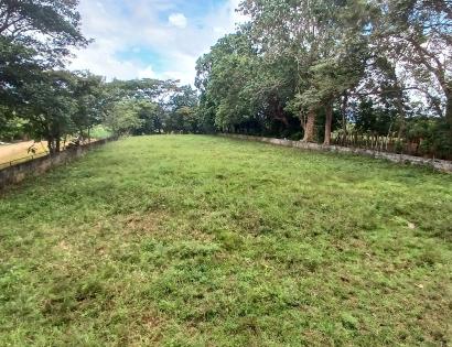Imagen de bien en venta ubicado en: Veraguas, Santiago, La Raya De Santa María, La Raya De Santa María, Predio 6