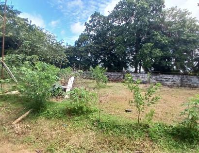 Imagen de bien en venta ubicado en: Veraguas, Santiago, La Raya De Santa María, La Raya De Santa María, Predio 6