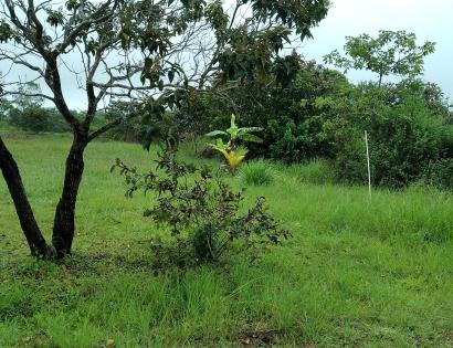 Imagen de bien en venta ubicado en: Chiriquí, Dolega, Potrerillos, Barriada Altos del Valle, calle de piedra Lote 84 y 85