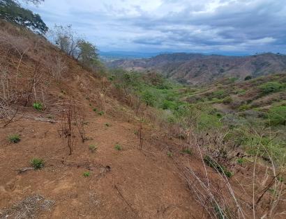Imagen de bien en venta ubicado en: Los Santos, Las Tablas, Nuario, Agua Buena, 