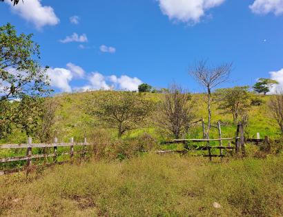 Imagen de bien en venta ubicado en: Darién, Chepigana, La Palma, Tutumate, Cruzando el Río Tuira
