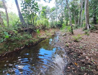Imagen de bien en venta ubicado en: Darién, Chepigana, La Palma, Tutumate, Cruzando el Río Tuira