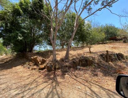 Imagen de bien en venta ubicado en: Panamá Oeste, Chame, Chame, Chame, Calle Julio Cordovez, Lote #5, a 165 metros de la carretera Interamenricana