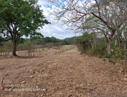 Imagen de bien en venta ubicado en: Herrera, Chitré, Chitré, Las Lajitas final, detrás del Residencial Paseo Los Guayacanes