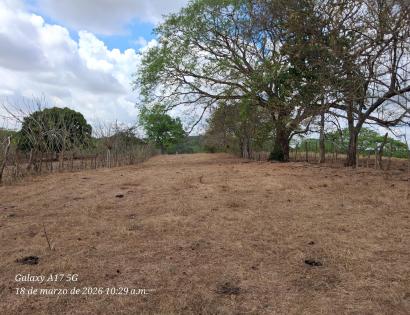 Imagen de bien en venta ubicado en: Herrera, Chitré, Chitré, Las Lajitas final, detrás del Residencial Paseo Los Guayacanes