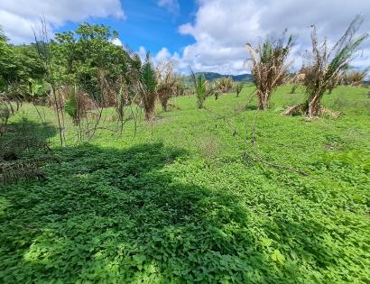 Imagen de bien en venta ubicado en: Veraguas, Soná, Calidonia, Calidonia, Calidonia
