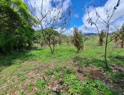 Imagen de bien en venta ubicado en: Veraguas, Soná, Calidonia, Calidonia, Calidonia