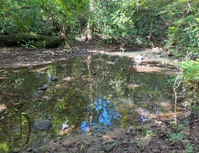 Imagen de bien en venta ubicado en: Veraguas, Soná, Calidonia, Calidonia, Calidonia