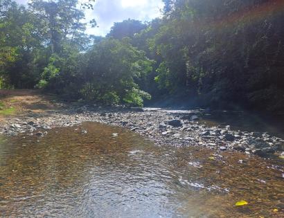 Imagen de bien en venta ubicado en: Panamá, Chepo, Cañita, Buenos Aires