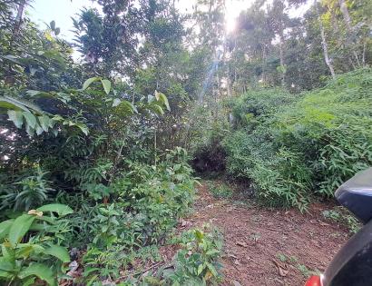 Imagen de bien en venta ubicado en: Panamá, Chepo, Cañita, Buenos Aires