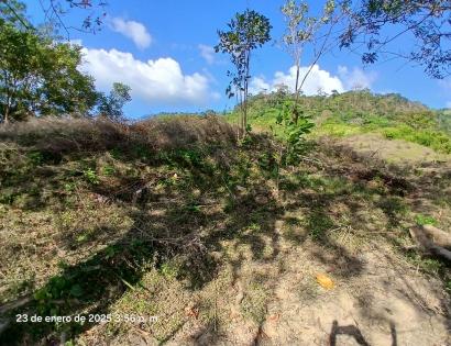 Imagen de bien en venta ubicado en: Darién, Chepigana, Río Congo Arriba, Río Arenal, Río Arenal