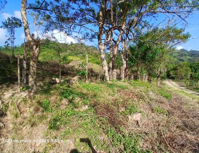 Imagen de bien en venta ubicado en: Darién, Chepigana, Río Congo Arriba, Río Arenal, Río Arenal