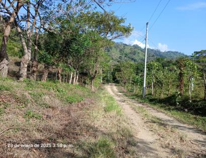 Imagen de bien en venta ubicado en: Darién, Chepigana, Río Congo Arriba, Río Arenal, Río Arenal