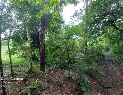 Imagen de bien en venta ubicado en: Los Santos, Macaracas, Corozal, Corozal arriba