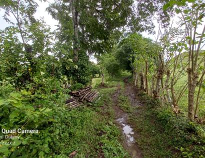 Imagen de bien en venta ubicado en: Los Santos, Macaracas, Corozal, Corozal arriba