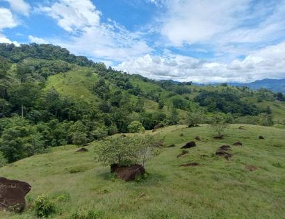 Imagen de bien en venta ubicado en: Bocas del Toro, Chiriquí Grande, Punta Peña, Calle Correg. Punta Peña, Quebrada Camarón