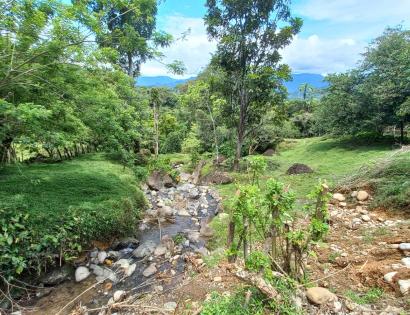 Imagen de bien en venta ubicado en: Bocas del Toro, Chiriquí Grande, Punta Peña, Calle Correg. Punta Peña, Quebrada Camarón