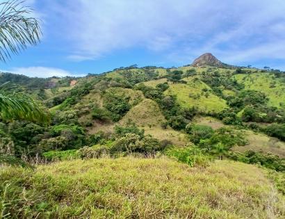 Imagen de bien en venta ubicado en: Herrera, Ocú, Los Llanos, Los Llanos, Los Llanos