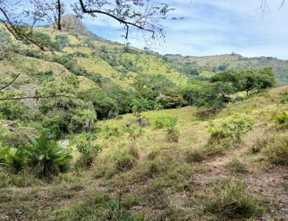 Imagen de bien en venta ubicado en: Herrera, Ocú, Los Llanos, Los Llanos, Los Llanos