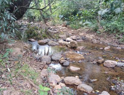 Imagen de bien en venta ubicado en: Herrera, Ocú, Los Llanos, Los Llanos, Los Llanos
