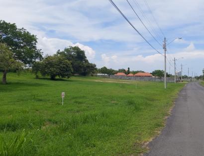 Imagen de bien en venta ubicado en: Panamá Oeste, Chame, Nueva Gorgona, Urbanización Palmeras del Golf, Calle Paseo Las Palmeras  lote 30 y 31