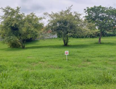 Imagen de bien en venta ubicado en: Panamá Oeste, Chame, Nueva Gorgona, Urbanización Palmeras del Golf, Calle Paseo Las Palmeras  lote 30 y 31