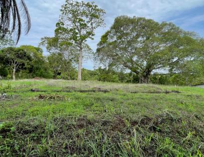 Imagen de bien en venta ubicado en: Los Santos, Pedasí, Pedasí, Calle Agustín Moscoso