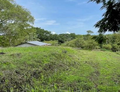 Imagen de bien en venta ubicado en: Los Santos, Pedasí, Pedasí, Calle Agustín Moscoso