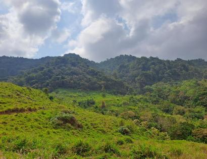 Imagen de bien en venta ubicado en: Panamá, Chepo, Tortí, 