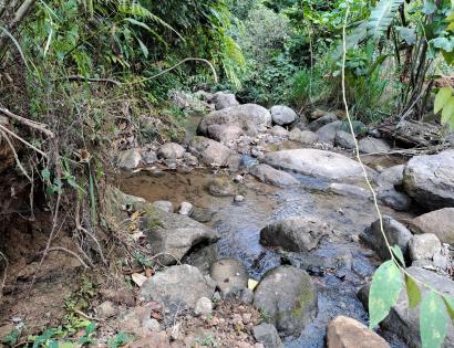 Imagen de bien en venta ubicado en: Panamá, Chepo, Tortí, 