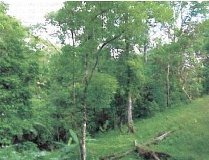 Imagen de bien en venta ubicado en: Colón, Colón, Puerto Pilón, Santa Rita Arriba