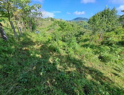 Imagen de bien en venta ubicado en: Veraguas, Soná, Calidonia, Cabismales, 