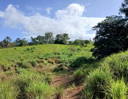 Imagen de bien en venta ubicado en: Darién, Chepigana, Santa Fé, Agua Clara Arriba, Santa Fe