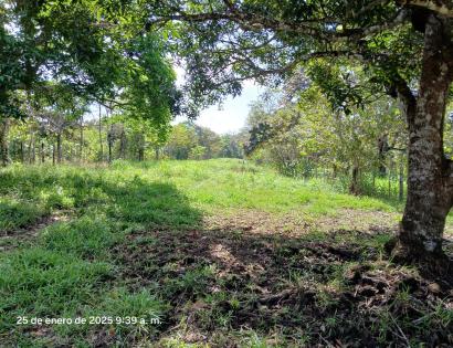 Imagen de bien en venta ubicado en: Darién, Chepigana, Santa Fé, Agua Clara Arriba, Santa Fe