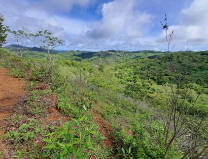 Imagen de bien en venta ubicado en: Los Santos, Tonosí, Cañas, El Paradero, El Paradero