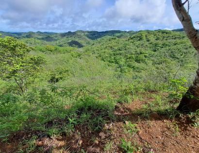 Imagen de bien en venta ubicado en: Los Santos, Tonosí, Cañas, El Paradero, El Paradero