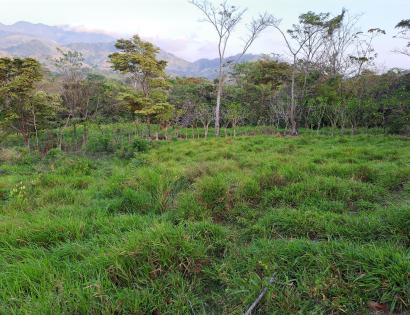 Imagen de bien en venta ubicado en: Darién, Chepigana, Río Congo, Río Bonito