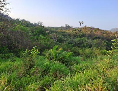 Imagen de bien en venta ubicado en: Darién, Chepigana, Río Congo, Río Bonito