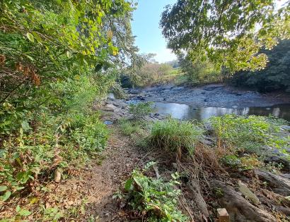Imagen de bien en venta ubicado en: Darién, Chepigana, Río Congo, Río Bonito