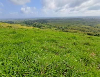 Imagen de bien en venta ubicado en: Darién, Pinogana, Yaviza