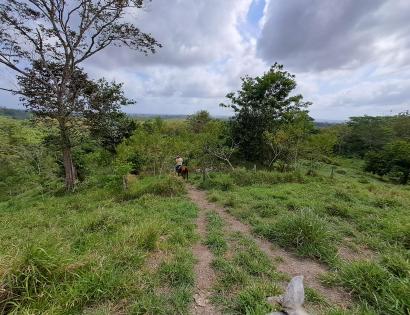 Imagen de bien en venta ubicado en: Darién, Pinogana, Yaviza